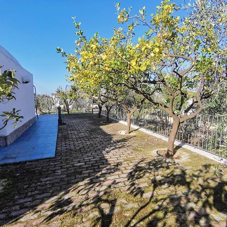 Tenuta Solleone Peschici Bagian luar foto