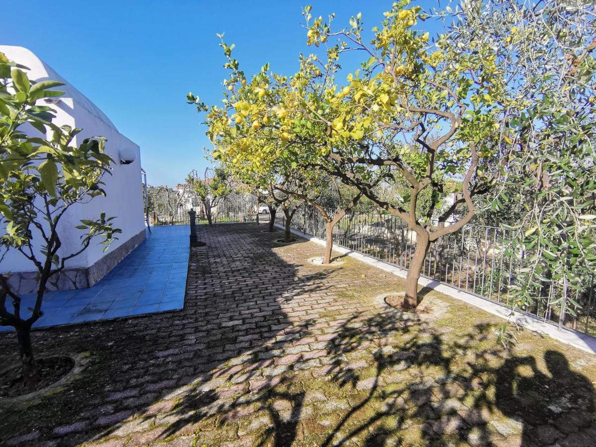 Tenuta Solleone Peschici Bagian luar foto