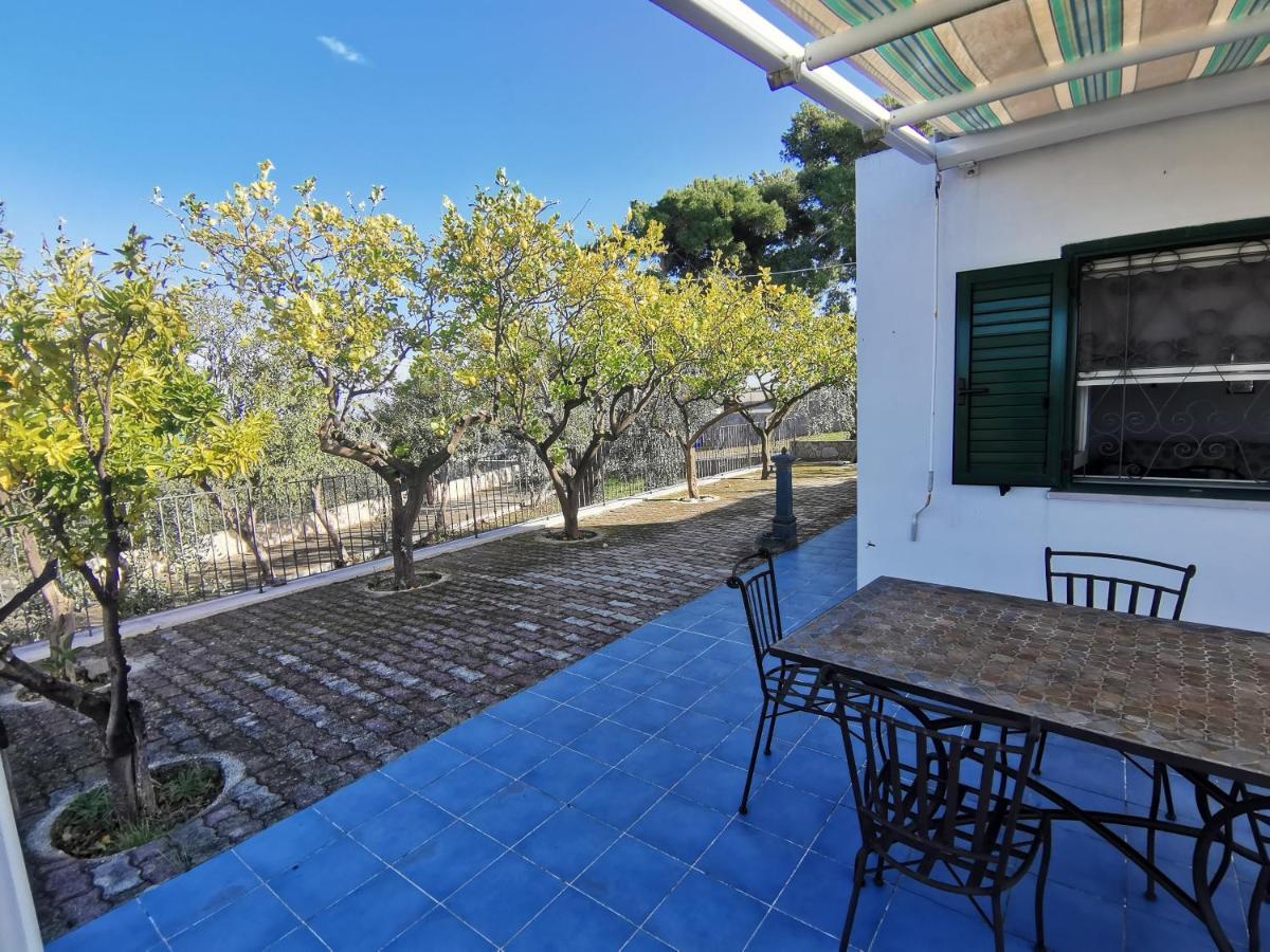 Tenuta Solleone Peschici Bagian luar foto