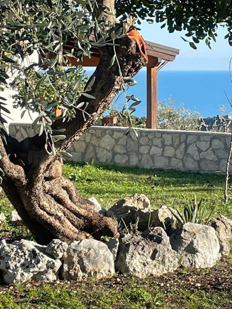 Tenuta Solleone Peschici Bagian luar foto